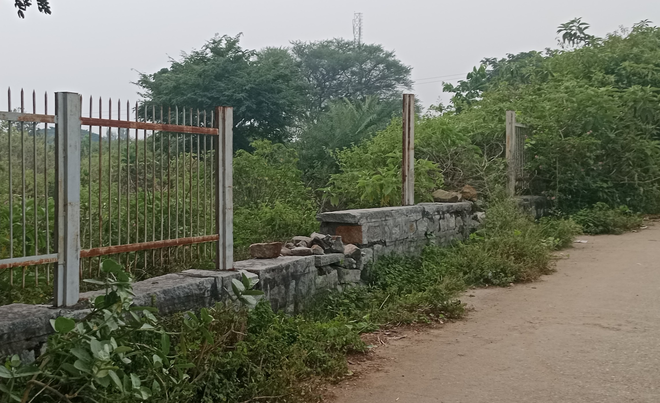 ಕೇಂದ್ರ ಪುರಾತತ್ವ ಇಲಾಖೆಗೆ ಸೇರಿದ ಹಳೇಬೀಡಿನ ನಗರೇಶ್ವರ(ಪಂಚಲಿಂಗೇಶ್ವರ) ದೇವಾಲಯಗಳ ಉತ್ಖನನ ಸ್ಮಾರಕಗಳ ಕಾಂಪೌಂಡ್‌ನ ಕಬ್ಬಿಣ ಪಟ್ಟಿ ಹಾಗೂ ತಂತಿಗಳು ಕಳ್ಳರ ಪಾಲಾಗುತ್ತಿವೆ