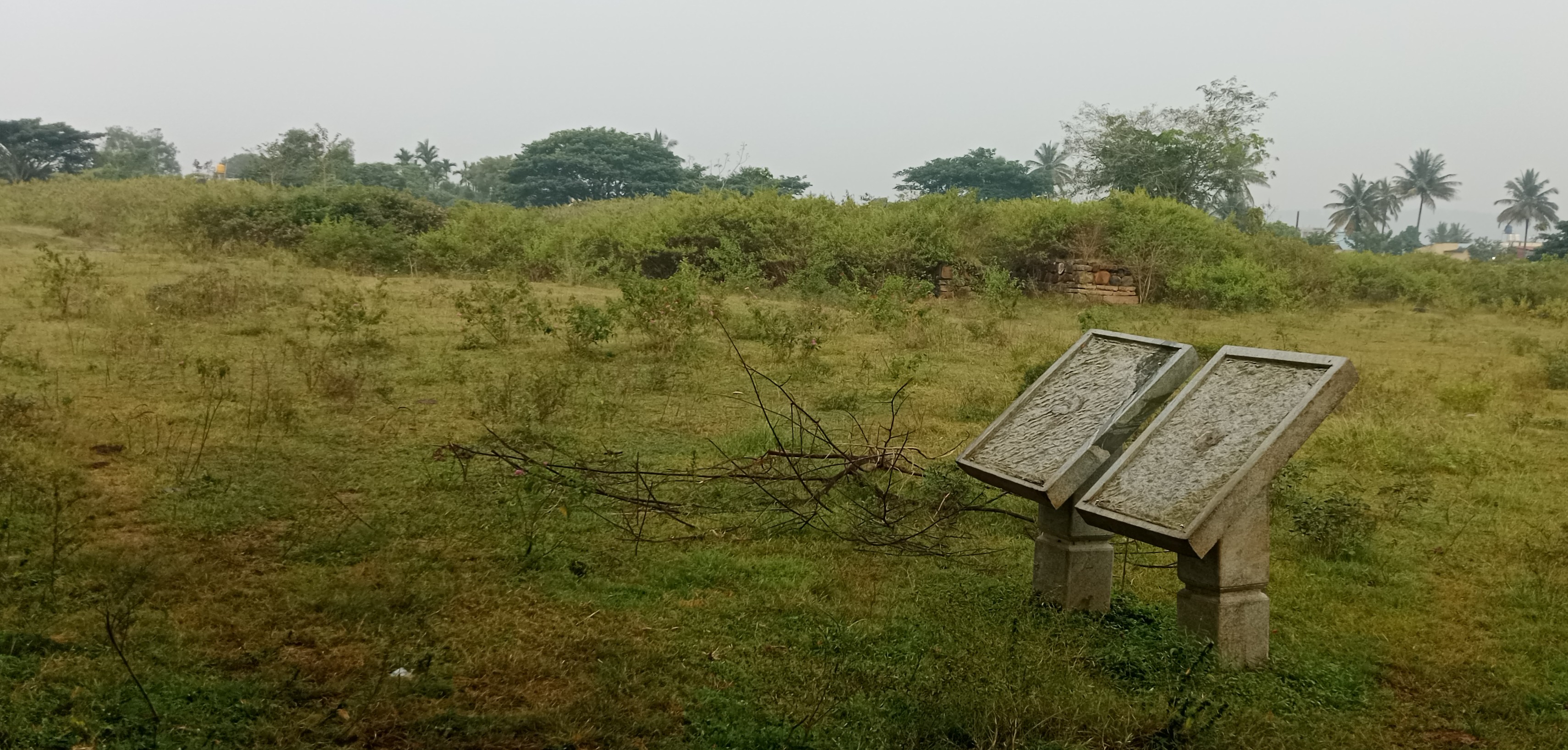 ಕೇಂದ್ರ ಪುರಾತತ್ವ ಇಲಾಖೆಗೆ ಸೇರಿದ ಹಳೇಬೀಡಿನ ನಗರೇಶ್ವರ(ಪಂಚಲಿಂಗೇಶ್ವರ) ದೇವಾಲಯಗಳ ಉತ್ಖನನ ಸ್ಮಾರಕಗಳು ಗಿಡಗಂಟಿಗಳಿಂದ ಮುಚ್ಚಿಹೋಗಿವೆ