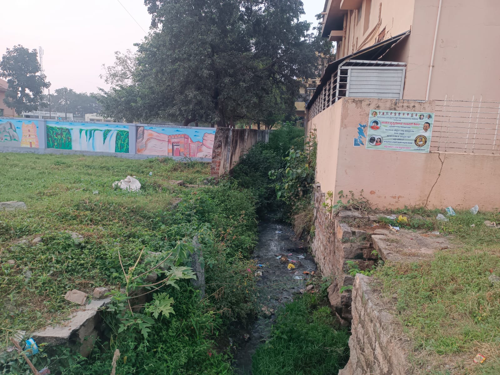 ಮಧುಗಿರಿ ಸರ್ಕಾರಿ ಹಿರಿಯ ಬಾಲಕರ ಪ್ರಾಥಮಿಕ ಶಾಲೆ ಪಕ್ಕದಲ್ಲಿರುವ ಚರಂಡಿಯಲ್ಲಿ ಬೆಳೆದಿರುವ ಗಿಡಗಳು 