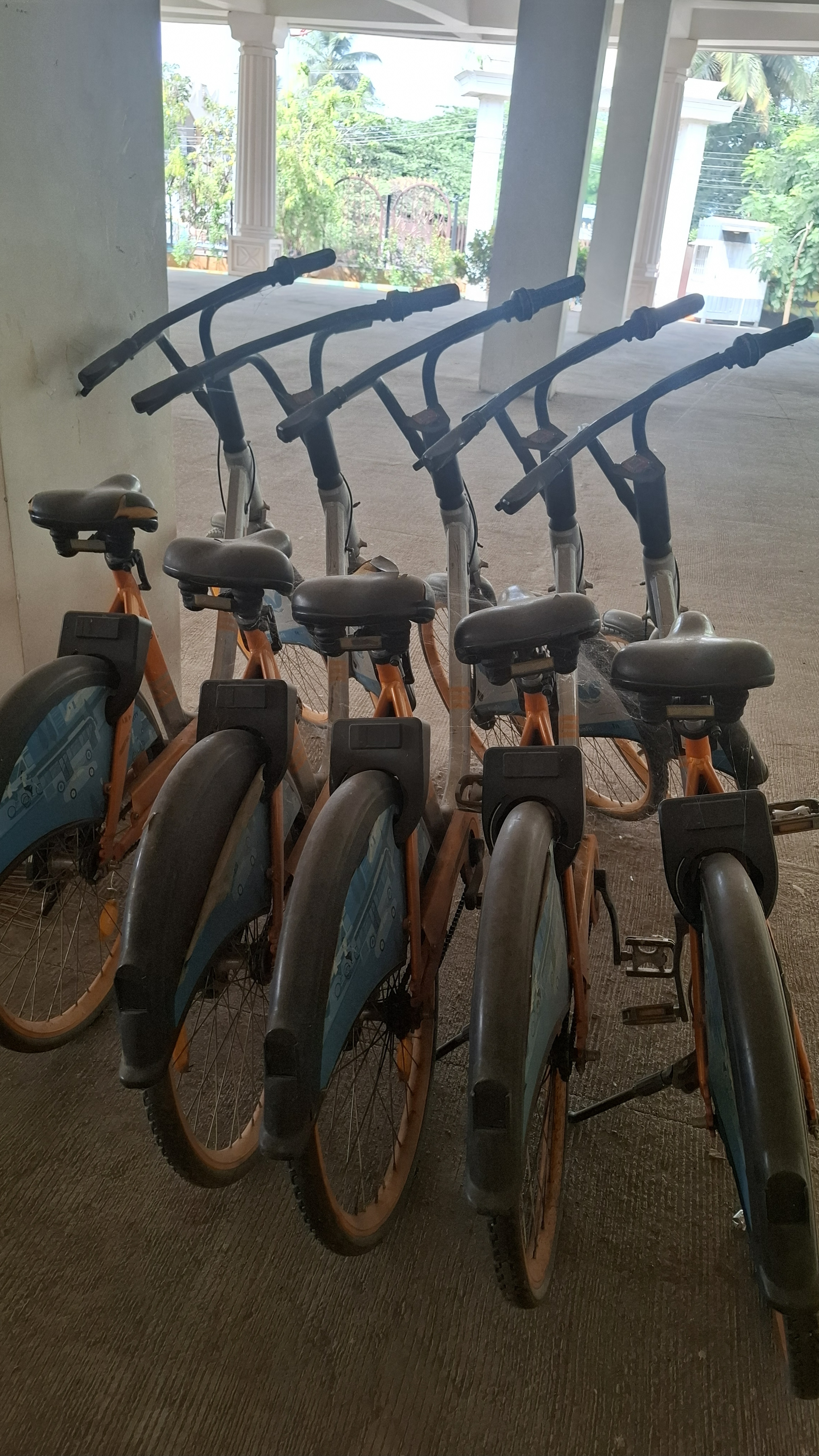 ದೂಳು ಹಿಡಿದು ಜೇಡ ಕಟ್ಟಿದ ಸೈಕಲ್‌ಗಳು