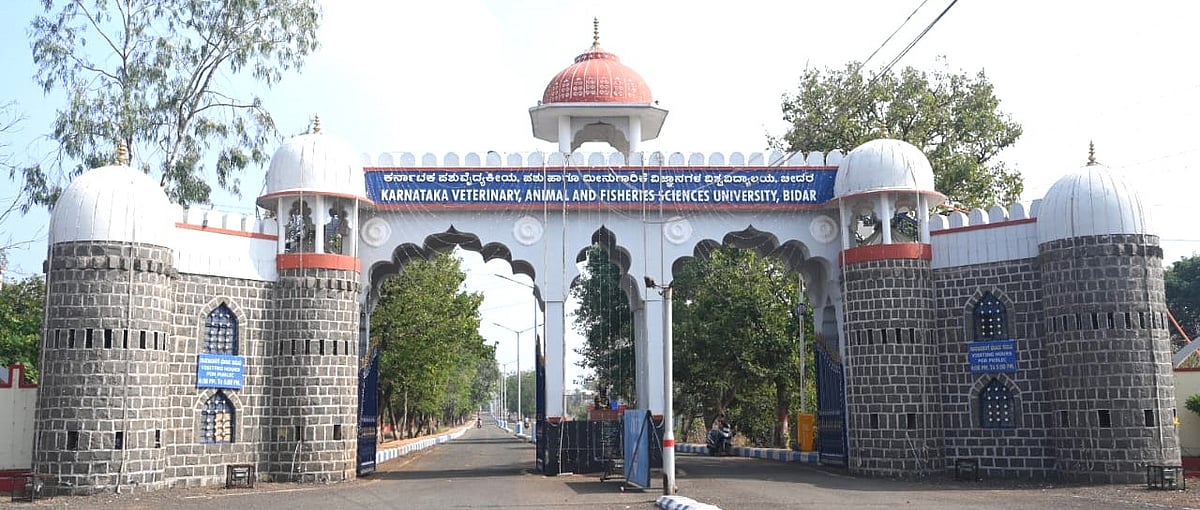 ಬೀದರ್‌ |ಕರ್ನಾಟಕ ಪಶು ವಿಶ್ವವಿದ್ಯಾಲಯದಲ್ಲಿ ಶೇ 60ರಷ್ಟು ಹುದ್ದೆ ಖಾಲಿ