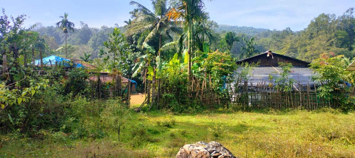 ಪೀತುಬೈಲಿನಲ್ಲಿರುವ ಮಲೆಕುಡಿಯ ಸಮುದಾಯದವರ ಮನೆ