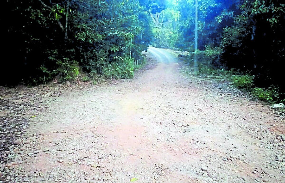 ಶೃಂಗೇರಿ | ಹದಗೆಟ್ಟ ರಸ್ತೆ: ಜನ, ವಾಹನ ಸಂಚಾರ ಕಷ್ಟ...