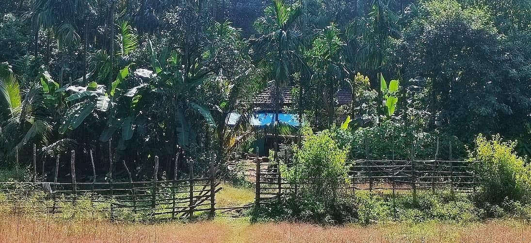 ಉಡುಪಿ: ಮಲೆಕುಡಿಯರಿಗೆ ಮೂಲಸೌಕರ್ಯ ಮರೀಚಿಕೆ
