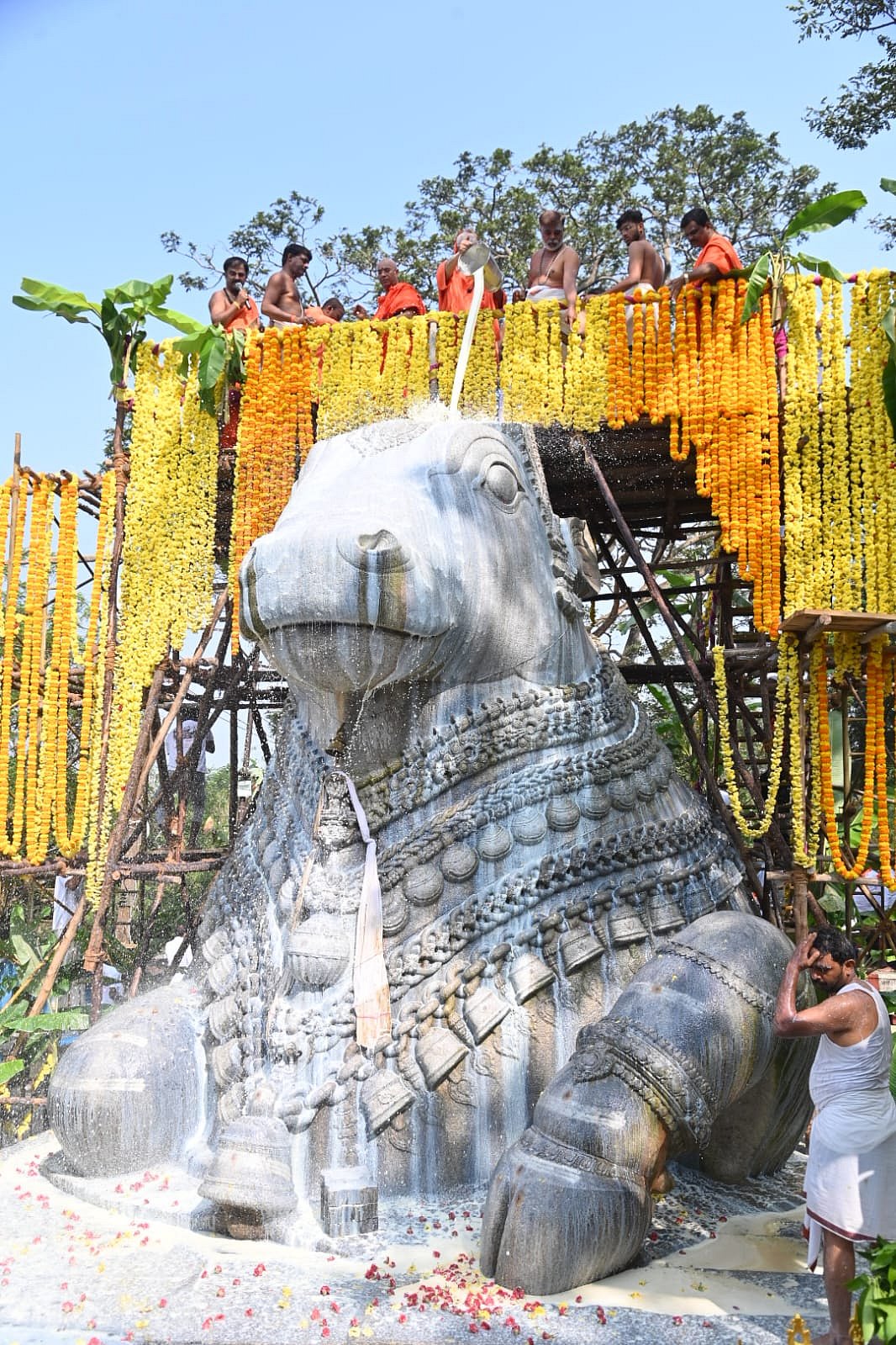 ಐನೂರು ವರ್ಷದ ಇತಿಹಾಸದ ಚಾಮುಂಡಿ ಬೆಟ್ಟದ ಏಕಶಿಲಾ ನಂದಿಗೆ ಮಹಾಭಿಷೇಕ ಸಂಭ್ರಮ