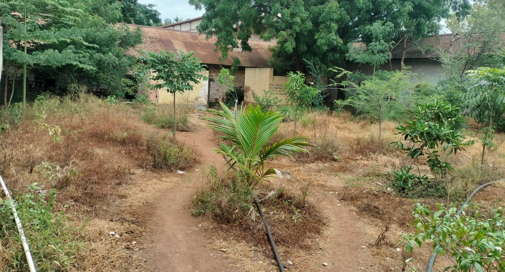 ಜಮಖಂಡಿ: ಇಲ್ಲಿನ ಹಳೆ ತಹಶೀಲ್ದಾರ ಕಾರ್ಯಾಲಯದ ದುಸ್ಥಿತಿ.