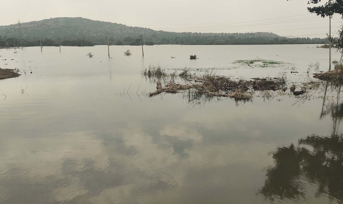 ಬಾಗೇಪಲ್ಲಿ: ಆಟದ ಮೈದಾನವಾಗಿದ್ದ ಕೆರೆಗೆ ನೀರು