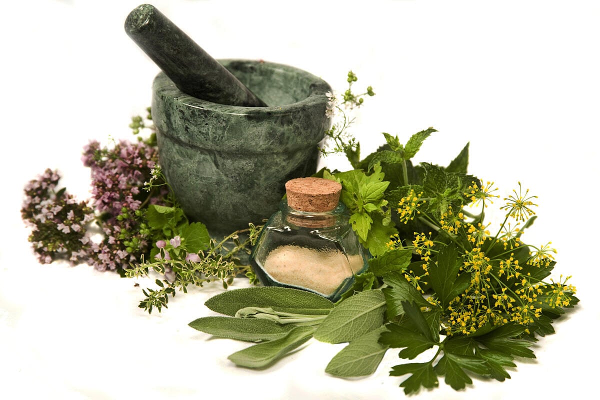 National Naturopathy Day: ಪ್ರಕೃತಿ ಚಿಕಿತ್ಸೆಯೆಂಬ ದೇಹಚೈತನ್ಯ ಸಿದ್ಧಾಂತ
