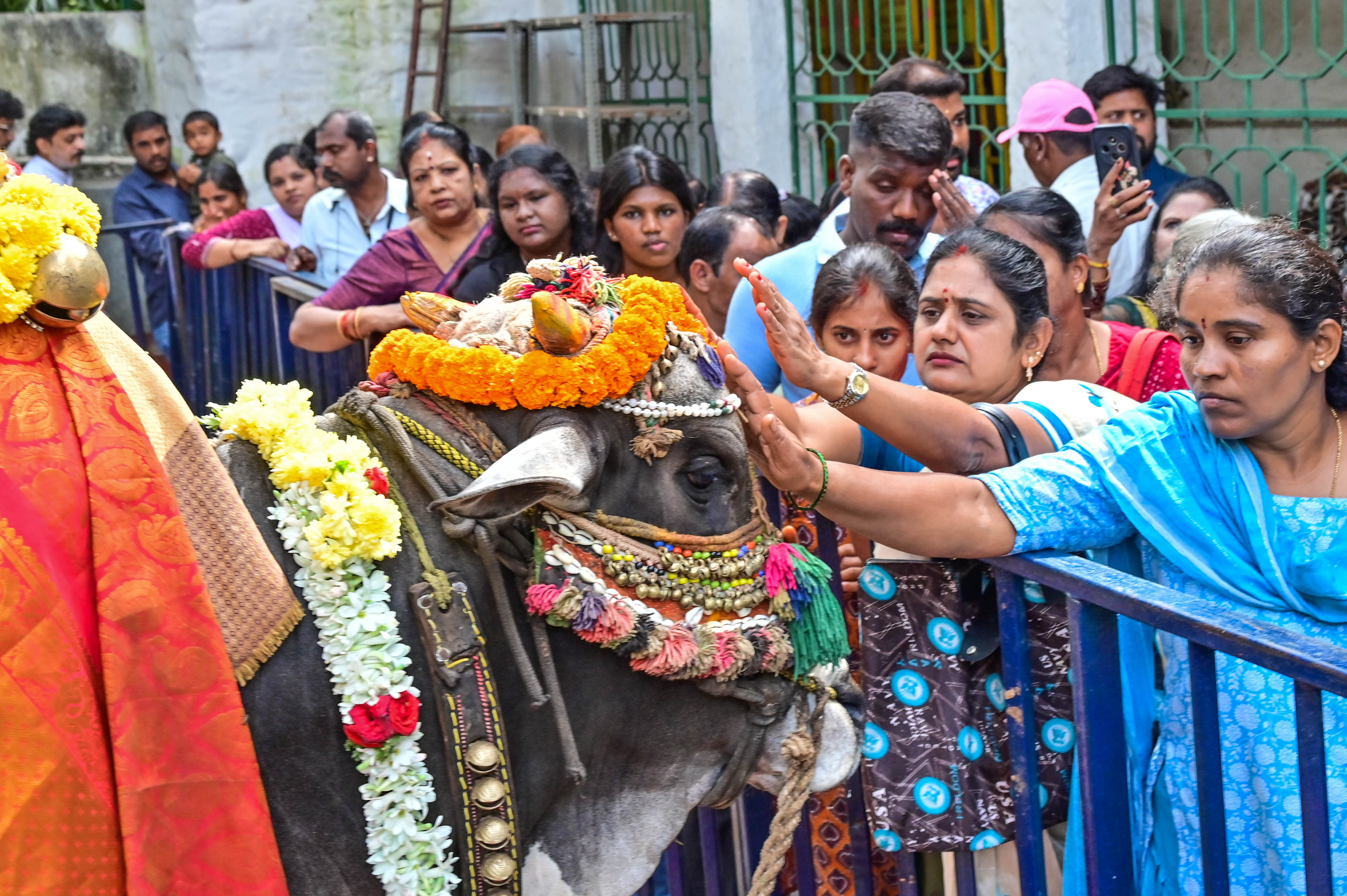 ಬಸವನಗುಡಿಯ ದೊಡ್ಡಬಸವಣ್ಣ ದೇವಾಲಯದ ಆವರಣದಲ್ಲಿ ಬಸವಣ್ಣಗೆ ಮಹಿಳೆಯರು ನಮಸ್ಕರಿಸಿದರು 