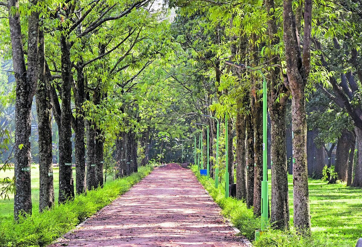 ಕಬ್ಬನ್‌ ಉದ್ಯಾನದಲ್ಲೂ ಪುಷ್ಪ ಪ್ರದರ್ಶನ: ನ. 27ರಿಂದ ಡಿ. 7ರವರೆಗೆ ಆಯೋಜನೆ 