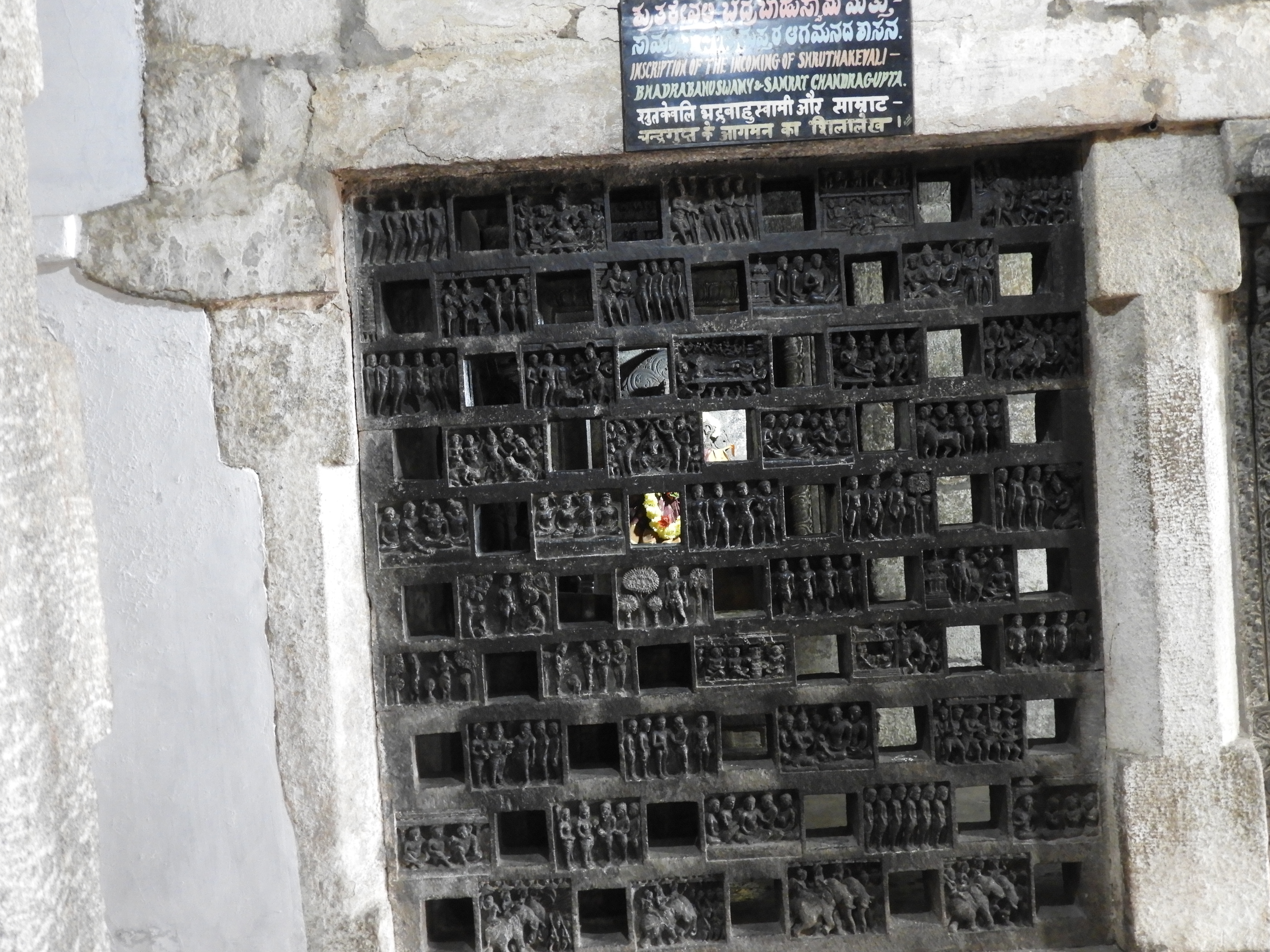 ಸುಂದರ ಜಾಲಾಂಧ್ರಗಳು.