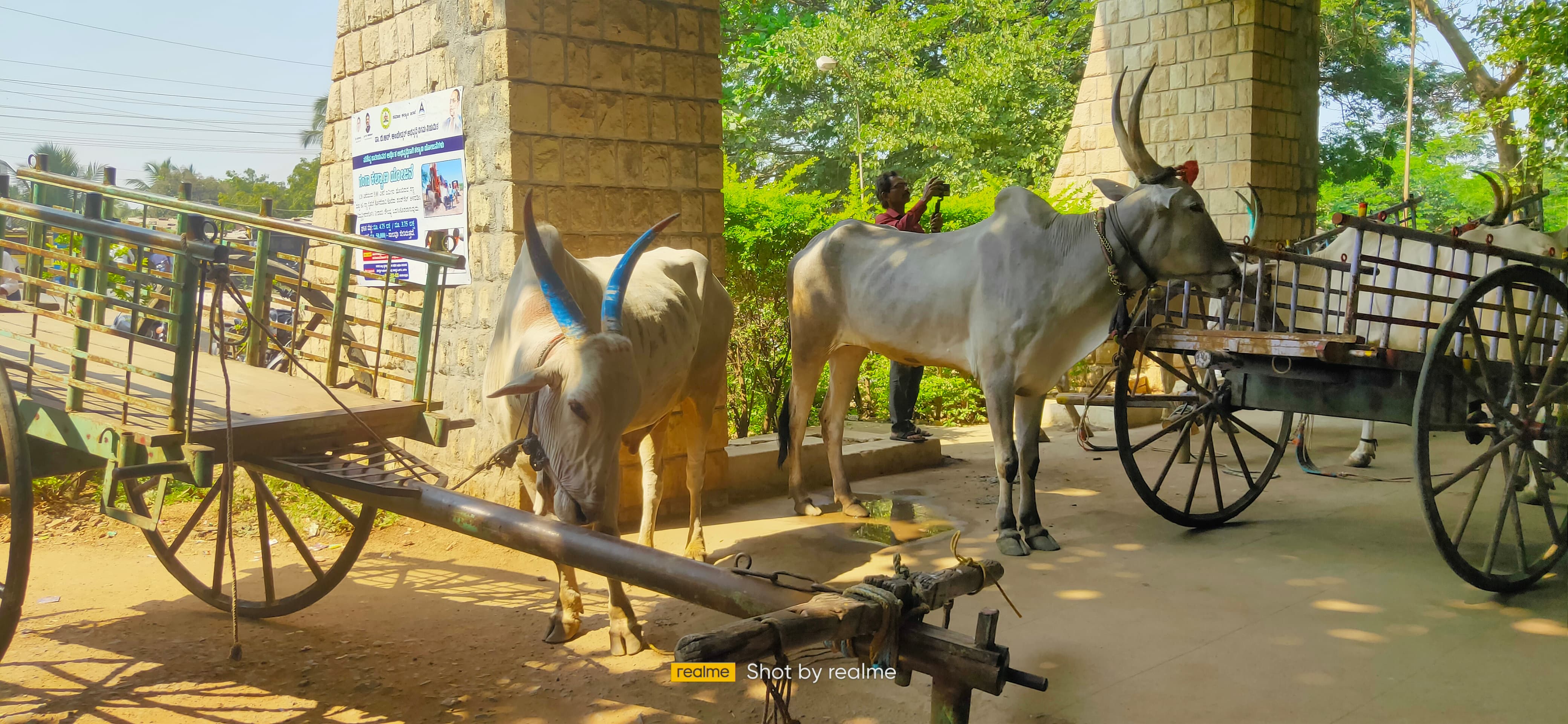 ಹುನಗುಂದ: ಗ್ರಾಮದ ರಸ್ತೆ ನಿರ್ಮಾಣ ಕಾಮಗಾರಿ ಸ್ಥಗಿತಗೊಳಿಸಿರುವುದನ್ನು ವಿರೋಧಿಸಿ ಚಿಕ್ಕಬಾದವಾಡಗಿ ಗ್ರಾಮಸ್ಥರು ಪಟ್ಟಣದ ತಹಶೀಲ್ದಾರ್ ಕಚೇರಿ ಆವರಣದಲ್ಲಿ ಎತ್ತಿನ ಬಂಡಿ ಹಾಗೂ ಟ್ರ್ಯಾಕ್ಟರ್ ನಿಲ್ಲಿಸಿರುವುದು