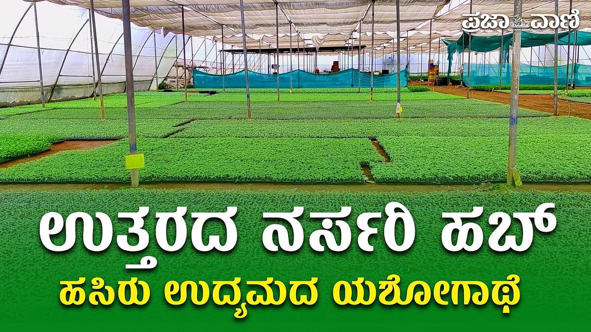 VIDEO: ಘಟಪ್ರಭಾ ನರ್ಸರಿಗಳ ರಾಜ್ಯ; ಇದು ಹಸಿರು ಉದ್ಯಮದ ಯಶೋಗಾಥೆ