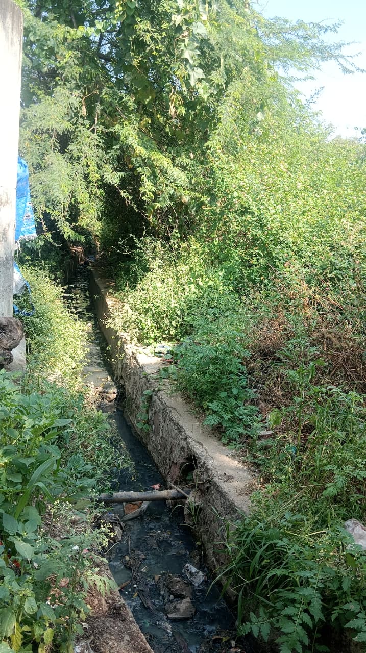 ಹುನಗುಂದ ತಾಲ್ಲೂಕಿನ ತಿಮ್ಮಾಪೂರ ಗ್ರಾಮದ ಚರಂಡಿಯಲ್ಲಿ ಹೂಳು ತುಂಬಿದೆ