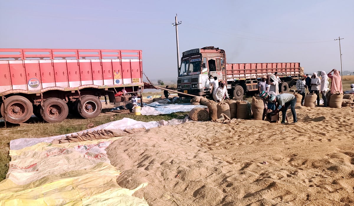 ಯಾದಗಿರಿ | ಭತ್ತದ ಕಟಾವು ಆರಂಭ: ಉತ್ತಮ ದರ ನಿರೀಕ್ಷೆಯಲ್ಲಿ ಭತ್ತ ಬೆಳೆಗಾರರು