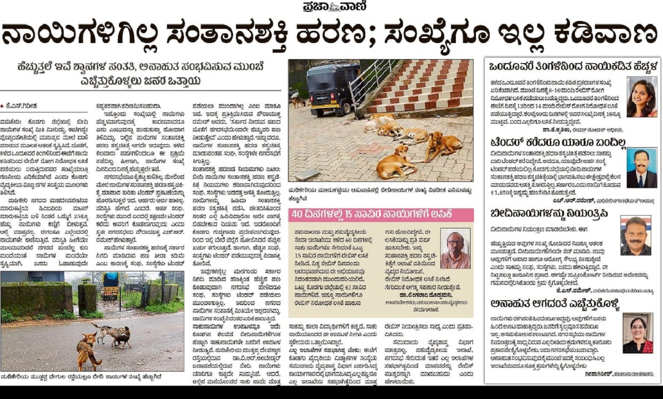 ನ. 10ರಂದು ‘ನಾಯಿಗಳಿಗಿಲ್ಲ ಸಂತಾನಶಕ್ತಿ ಹರಣ; ಸಂಖ್ಯೆಗೂ ಇಲ್ಲ ಕಡಿವಾಣ’ ಎಂಬ ಶೀರ್ಷಿಕೆಯಡಿ ‘ಪ್ರಜಾವಾಣಿ’ ವಿಶೇಷ ವರದಿ ಪ್ರಕಟಿಸಿತ್ತು