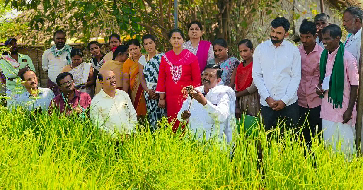 ರಾಜ್ಯ ರೈತ ಸಂಘ ಮತ್ತು ಹಸಿರು ಸೇನೆ ವತಿಯಿಂದ ನೈಸರ್ಗಿಕ ಕೃಷಿ ಕಾರ್ಯಾಗಾರ ಜ.3ರಿಂದ