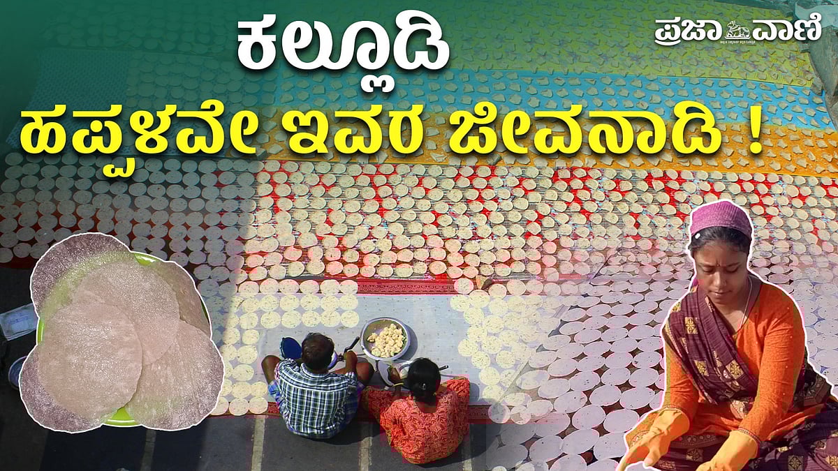 VIDEO: ಕಲ್ಲೂಡಿ ಊರಿನವರಿಗೆಲ್ಲ ಹಪ್ಪಳ ತಯಾರಿಕೆಯೇ ಕಾಯಕ!