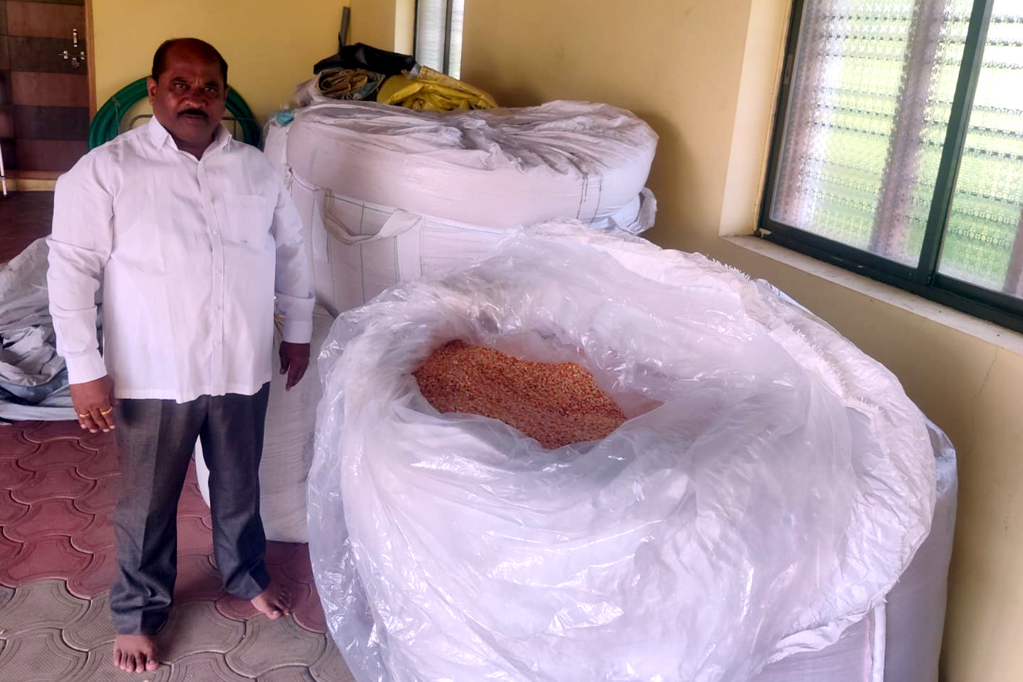 ಬನಹಟ್ಟಿ ಸಮೀಪದ ಜಗದಾಳ ರಸ್ತೆಯ ತೋಟದ ಮನೆಯೊಂದರಲ್ಲಿ ಗೋದಾಮಿನಲ್ಲಿ ಬೃಹತ್ ಚೀಲಗಳಲ್ಲಿ ಮೆಕ್ಕೆಜೋಳ ಶೇಖರಿಸಿ ಇಟ್ಟಿರುವುದು