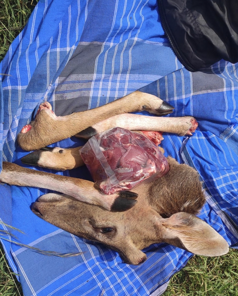 ಜಿಂಕೆ ಮಾಂಸದ ಕಾಲು ಹಾಗೂ ತಲೆ