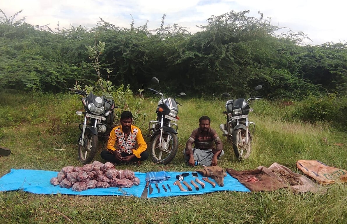 ಕೊಳ್ಳೇಗಾಲ | 43 ಕೆ.ಜಿ. ಜಿಂಕೆ ಮಾಂಸ ವಶ: ಇಬ್ಬರ ಬಂಧನ