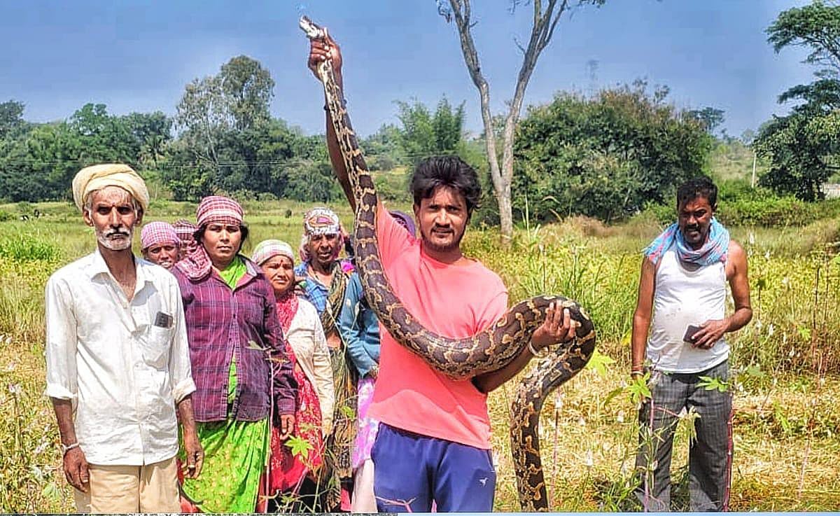 ರಾಮನಗರ: 10 ಅಡಿ ಉದ್ದದ ಹೆಬ್ಬಾವು ರಕ್ಷಣೆ