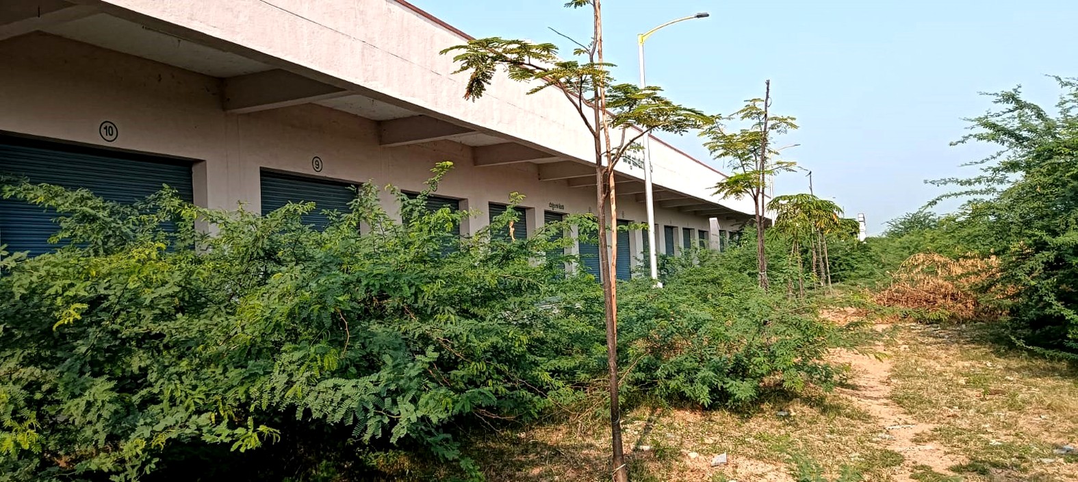 ಆರ್‌ಟಿಪಿ ವಾಣಿಜ್ಯ ಮಳಿಗೆಗಳ ಮುಂಭಾಗದಲ್ಲಿ ಮುಳ್ಳಿನ ಗಿಡಗಳು ಬೆಳೆದಿರುವುದು