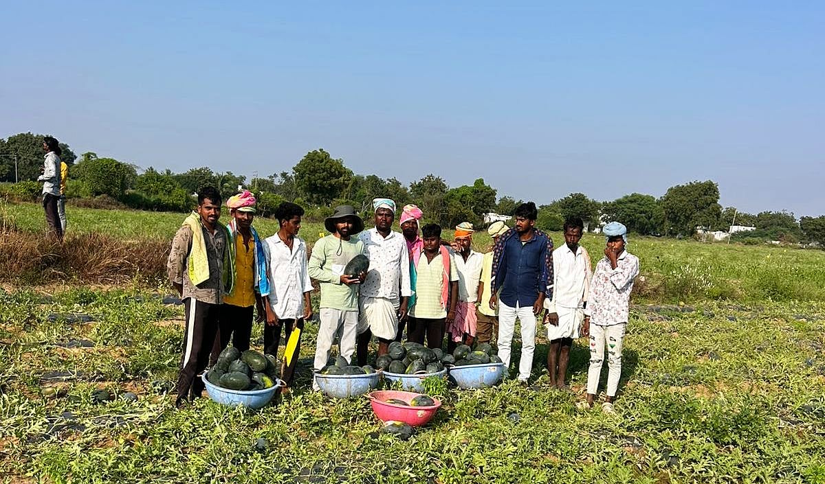 ಯಾದಗಿರಿ: 2 ತಿಂಗಳ ಅವಧಿಯ ಬೆಳೆ; ರೈತರ ಕೈ ಹಿಡಿದ ಕಲ್ಲಂಗಡಿ, ಲಕ್ಷ ಲಕ್ಷ ಲಾಭ