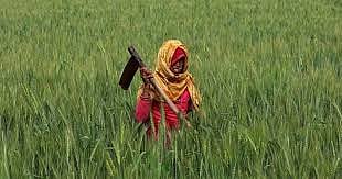 ಪಿಎಂ ಕಿಸಾನ್ ಸಮ್ಮಾನ್ ನಿಧಿ ಬಿಡುಗಡೆ