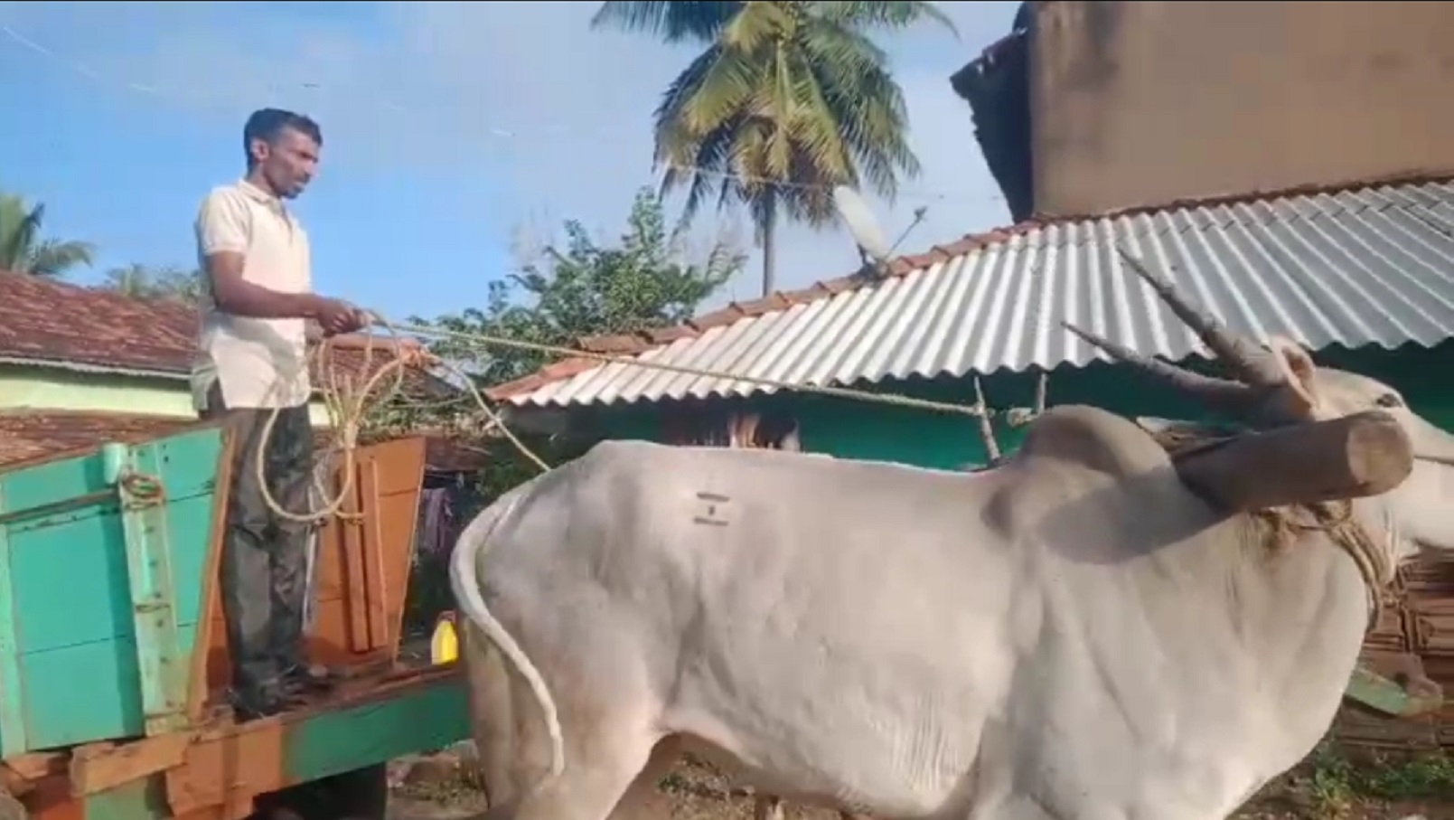 ಹಾಸನ ಜಿಲ್ಲೆಯ ಅರಕಲಗೂಡು ತಾಲ್ಲೂಕಿನ ಬಸವನಹಳ್ಳಿ ರೈತ ಬಿ.ಎಸ್‌. ರವಿ ಎತ್ತಿನಗಾಡಿಯಲ್ಲಿ ದಾಖಲೆ ಕೊಂಡೊಯ್ದರು.