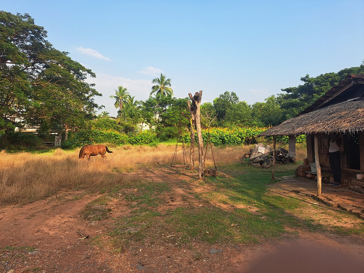 ಭಟ್ಕಳ: ಅಂತ್ಯಸಂಸ್ಕಾರಕ್ಕೂ ಸಿಗದ ಉರುವಲು