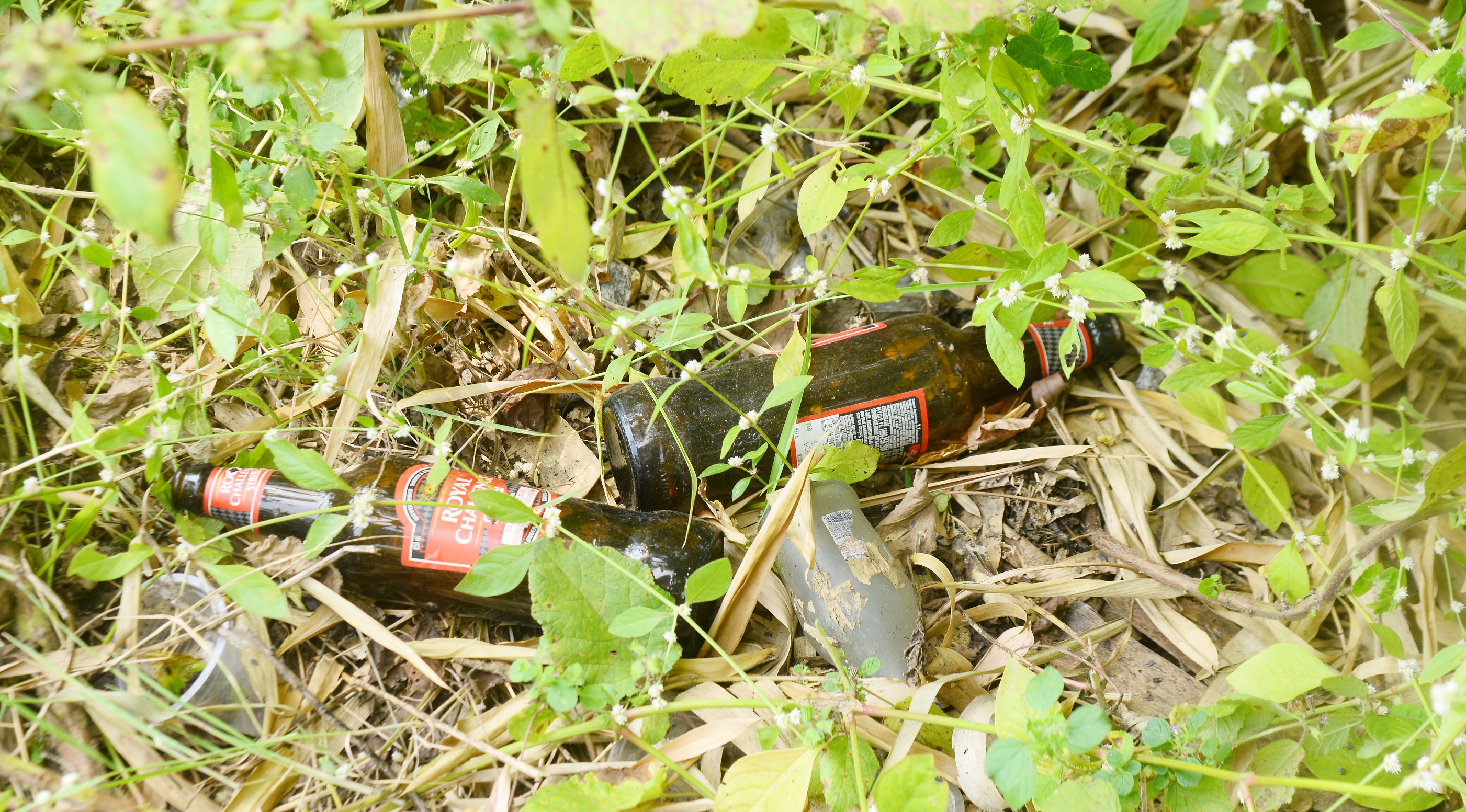 ಕ್ರೀಡಾಂಗಣದ ಬಳಿ ಮದ್ಯದ ಬಾಟಲಿ