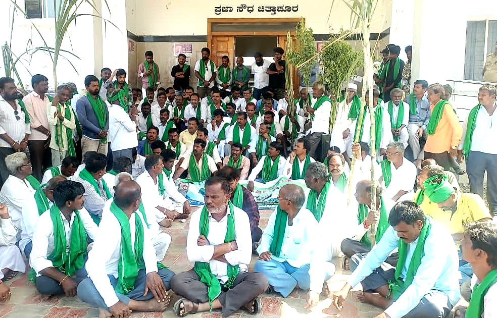 ಕ್ವಿಂಟಲ್ ತೊಗರಿಗೆ ₹ 12,400 ಬೆಲೆ ನಿಗದಿ ಮಾಡಿ: ರೈತರ ಆಗ್ರಹ 