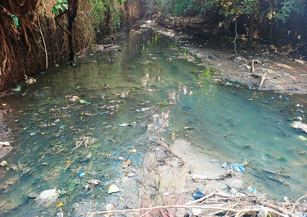 ಕಾವೇರಿ ನದಿಯ ಒಡಲು ಮಲಿನ