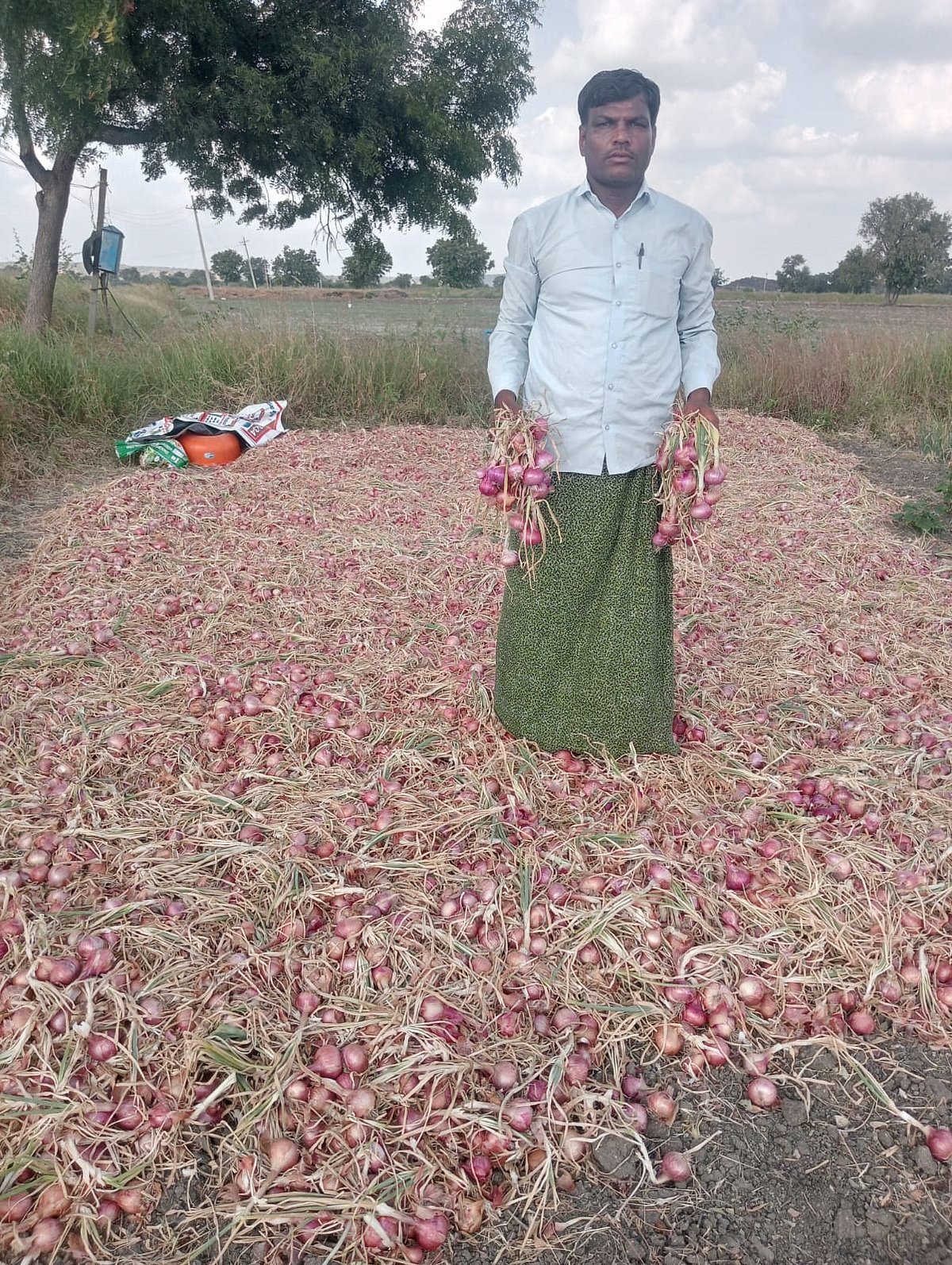 ಕವಿತಾಳ | ಈರುಳ್ಳಿ ದರ ಕುಸಿತ: ರೈತರಿಗೆ ಸಂಕಷ್ಟ