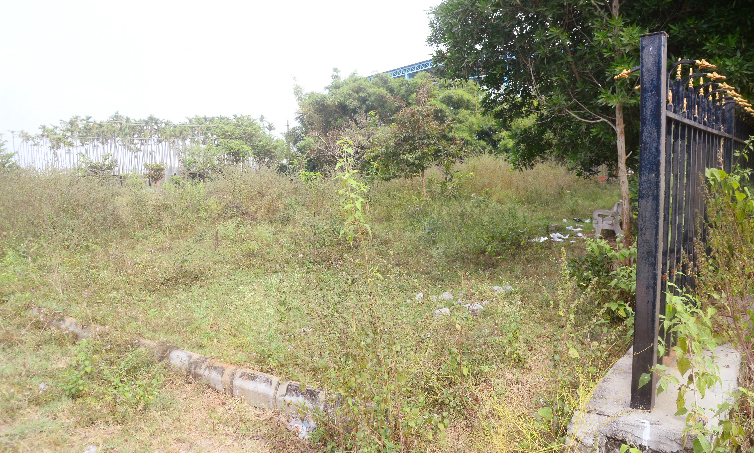 ಕ್ರೀಡಾಂಗಣಕ್ಕೆ ಹೊಂದಿಕೊಂಡಿರುವ ಪಾರ್ಕ್‌ನಲ್ಲಿ ಗಿಡಗಂಟಿ ಬೆಳೆದಿರುವುದು