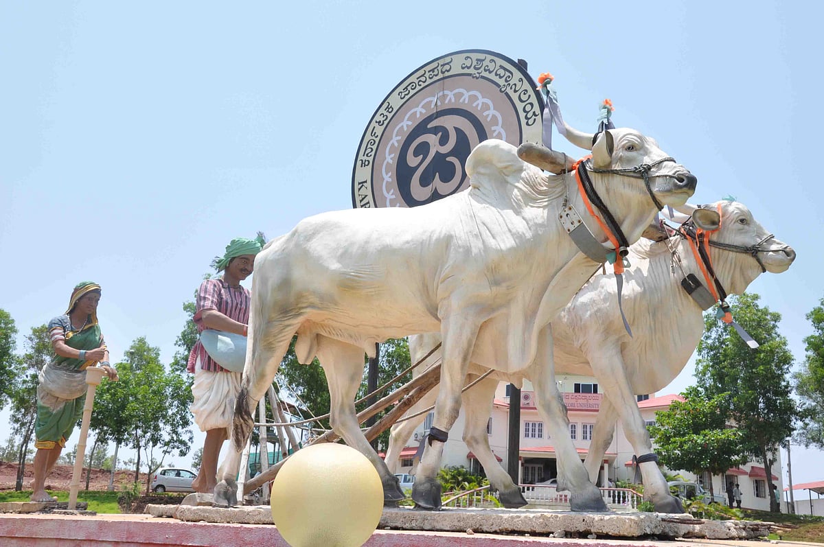 ಜಾನಪದ ವಿವಿ: ಪರೀಕ್ಷೆ ಮುಗಿದ ಮೂರೇ ಗಂಟೆಯಲ್ಲಿ ಫಲಿತಾಂಶ