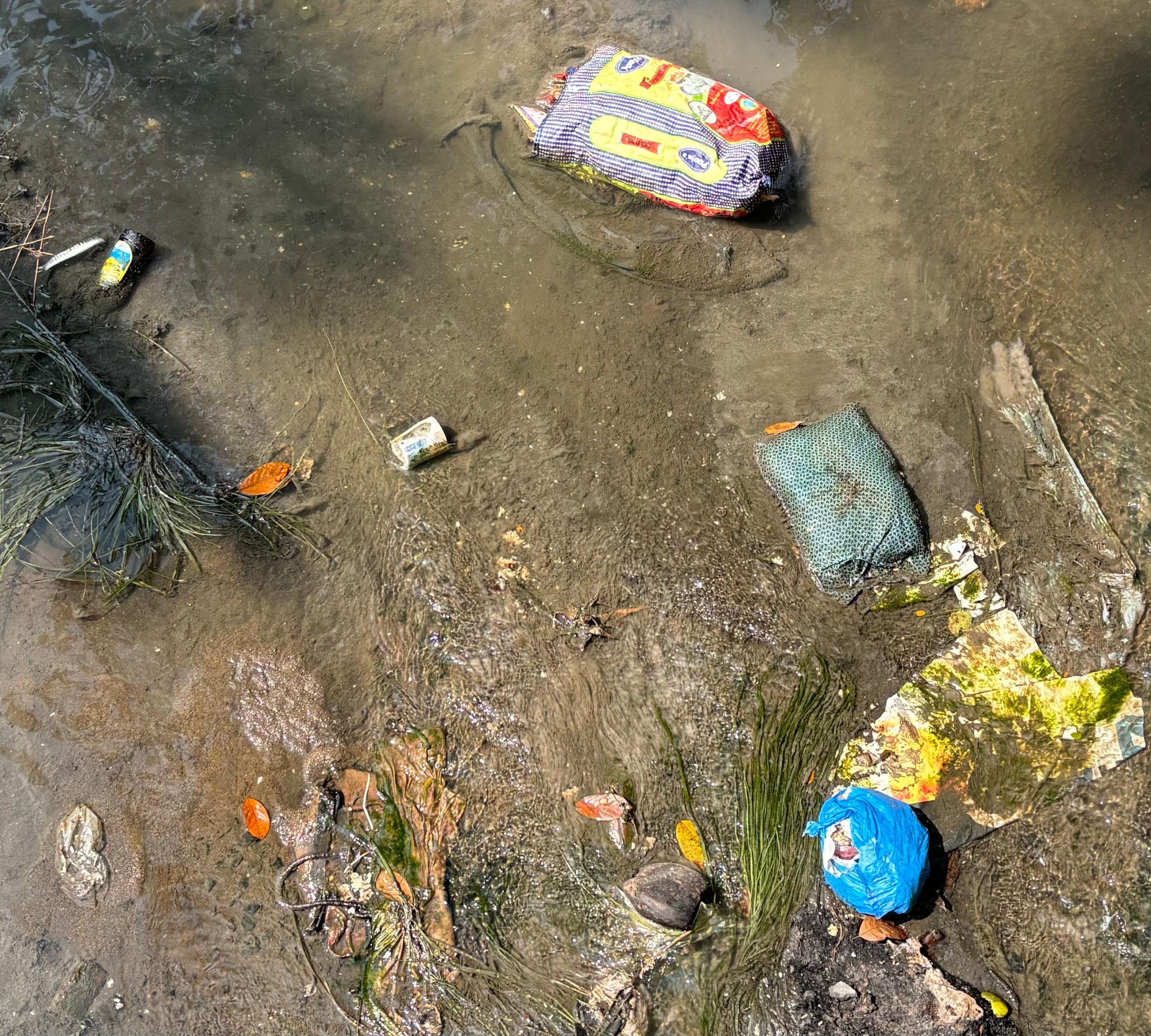 ಇಂದ್ರಾಣಿ ನದಿಯ ಒಡಲಿನಲ್ಲಿ ಕಸದ ರಾಶಿ