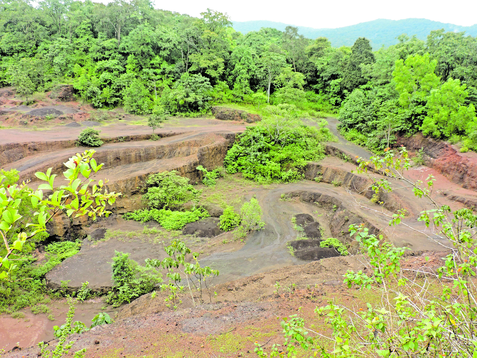 ಅಭಯಾರಣ್ಯದ ಕೇಂದ್ರ ಭಾಗದಲ್ಲಿ ಕೃಷಿ ಜಮೀನು
