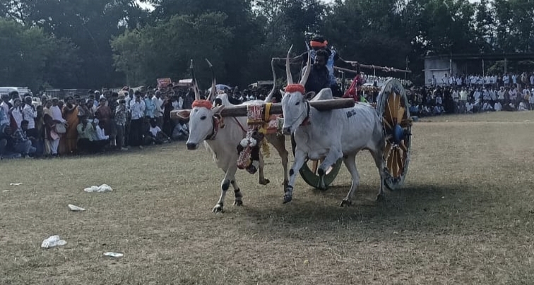 ಕುಶಾಲನಗರ ಸಮೀಪದ ಹೆಬ್ಬಾಲೆ ಗ್ರಾಮದೇವತೆ ಬನಶಂಕರಿ ಹಬ್ಬದ ಅಂಗವಾಗಿ ಎತ್ತಿನಗಾಡಿ ಓಟ ಸ್ಪರ್ಧೆ ನಡೆಯಿತು.
