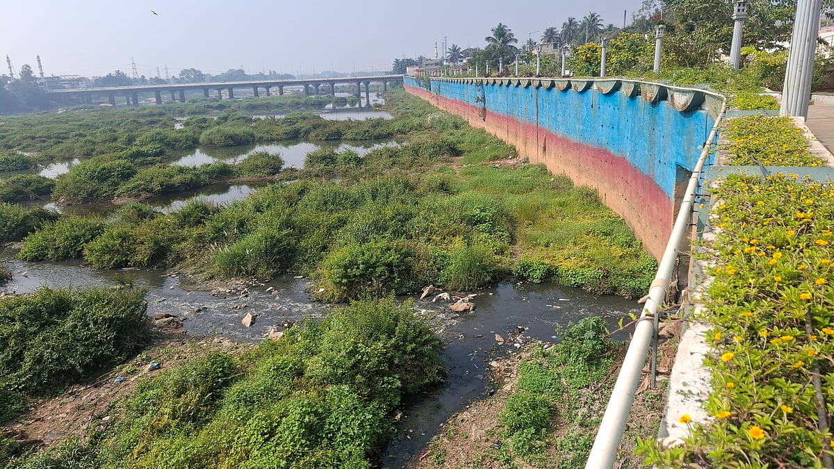 ತುಂಗೆ ನೀರು; ಕುಡಿಯಲಷ್ಟೇ ಅಲ್ಲ, ಬಳಕೆಗೂ ಯೋಗ್ಯವಿಲ್ಲ!