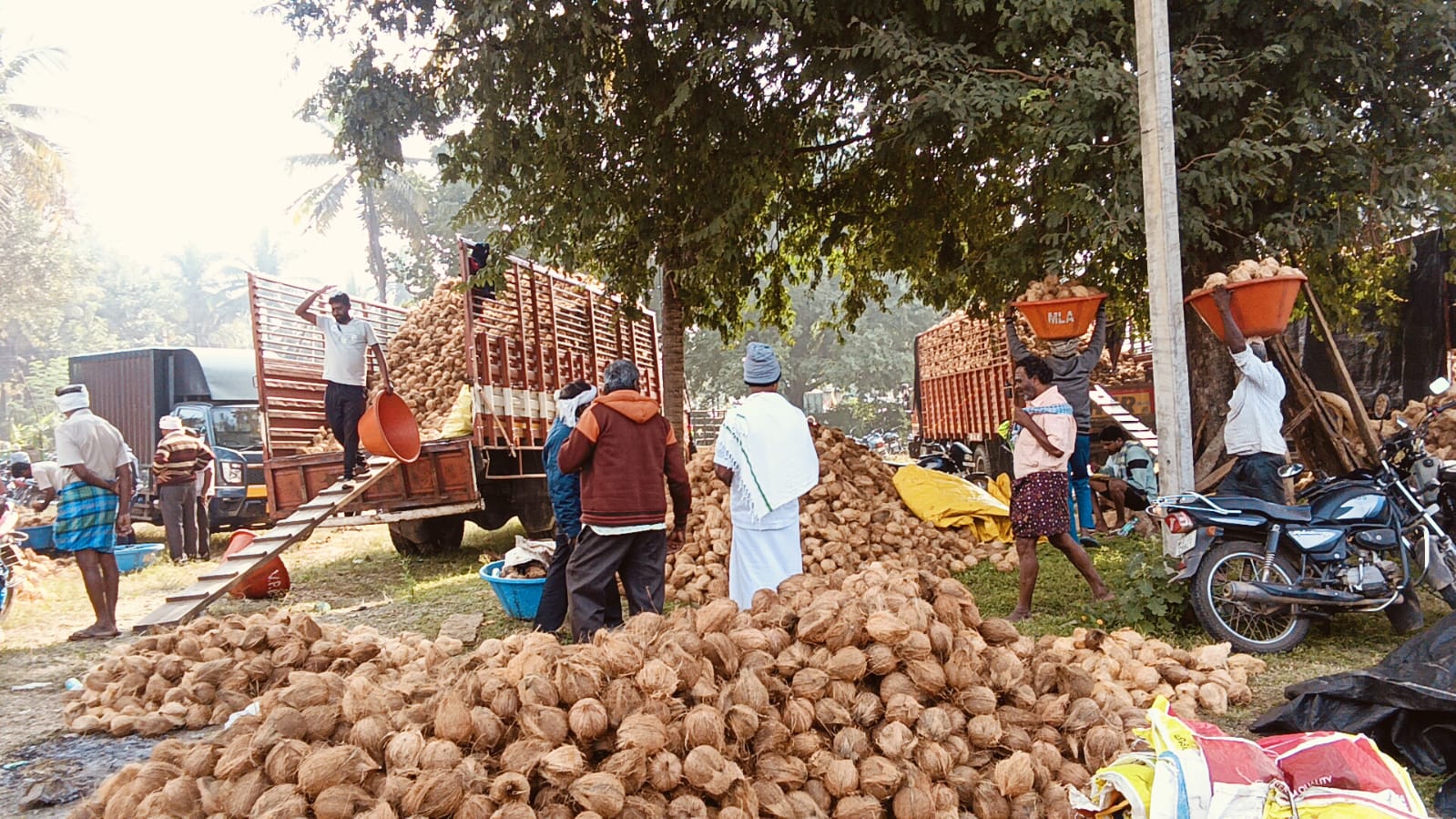 ನುಗ್ಗೇಹಳ್ಳಿಯಲ್ಲಿ ಭಾನುವಾರ ನಡೆದ ಸಂತೆಯಲ್ಲಿ ತೆಂಗಿನಕಾಯಿ ವ್ಯಾಪಾರ ಭರ್ಜರಿಯಾಗಿ ನಡೆಯಿತು