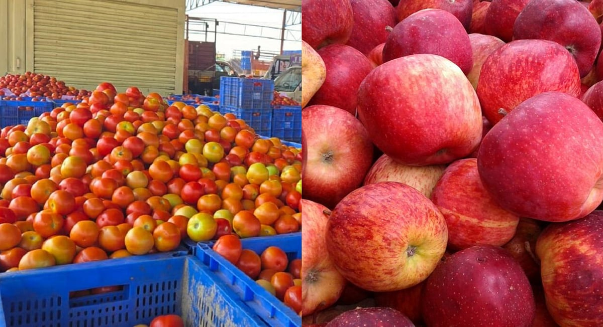 ತುಮಕೂರು | ಟೊಮೆಟೊ ಕೆ.ಜಿ ₹60ಕ್ಕೆ ಏರಿಕೆ; ಸೇಬು ಕೆ.ಜಿ ₹100ಕ್ಕೆ ಇಳಿಕೆ