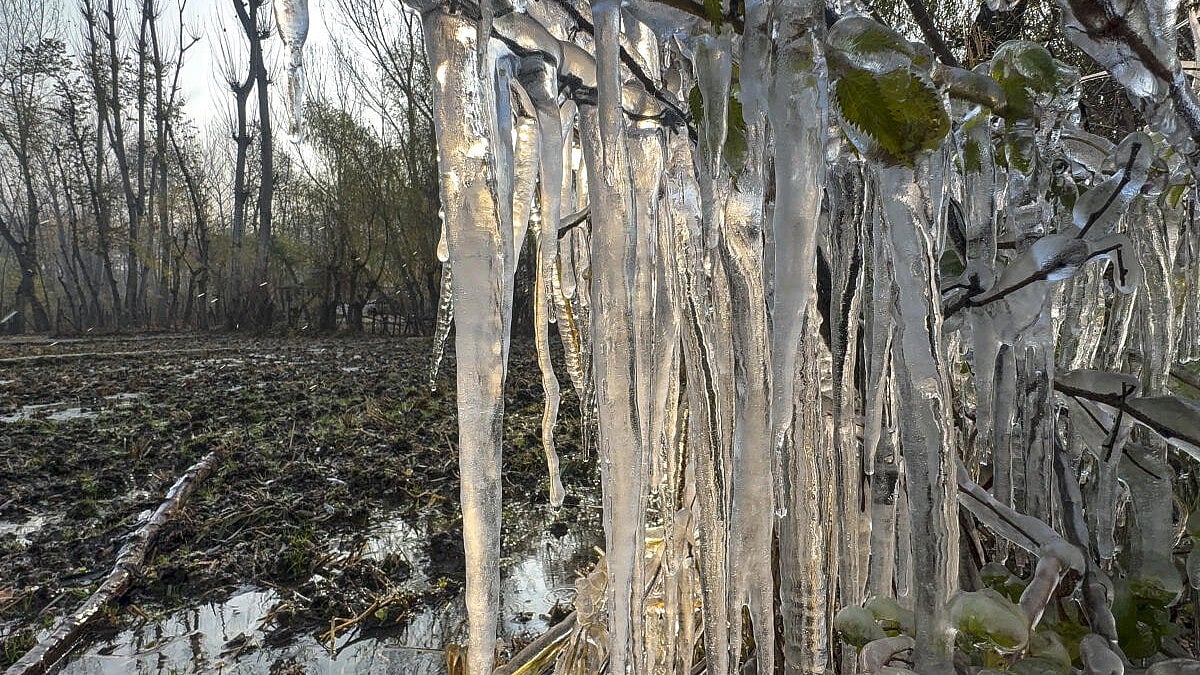 ಕಾಶ್ಮೀರದಲ್ಲೀಗ ತೀವ್ರ ಚಳಿ: ತಾಪಮಾನ ಮೈನಸ್‌ 3.2 ಡಿಗ್ರಿ ಸೆಲ್ಸಿಯಸ್‌ಗೆ ಇಳಿಕೆ