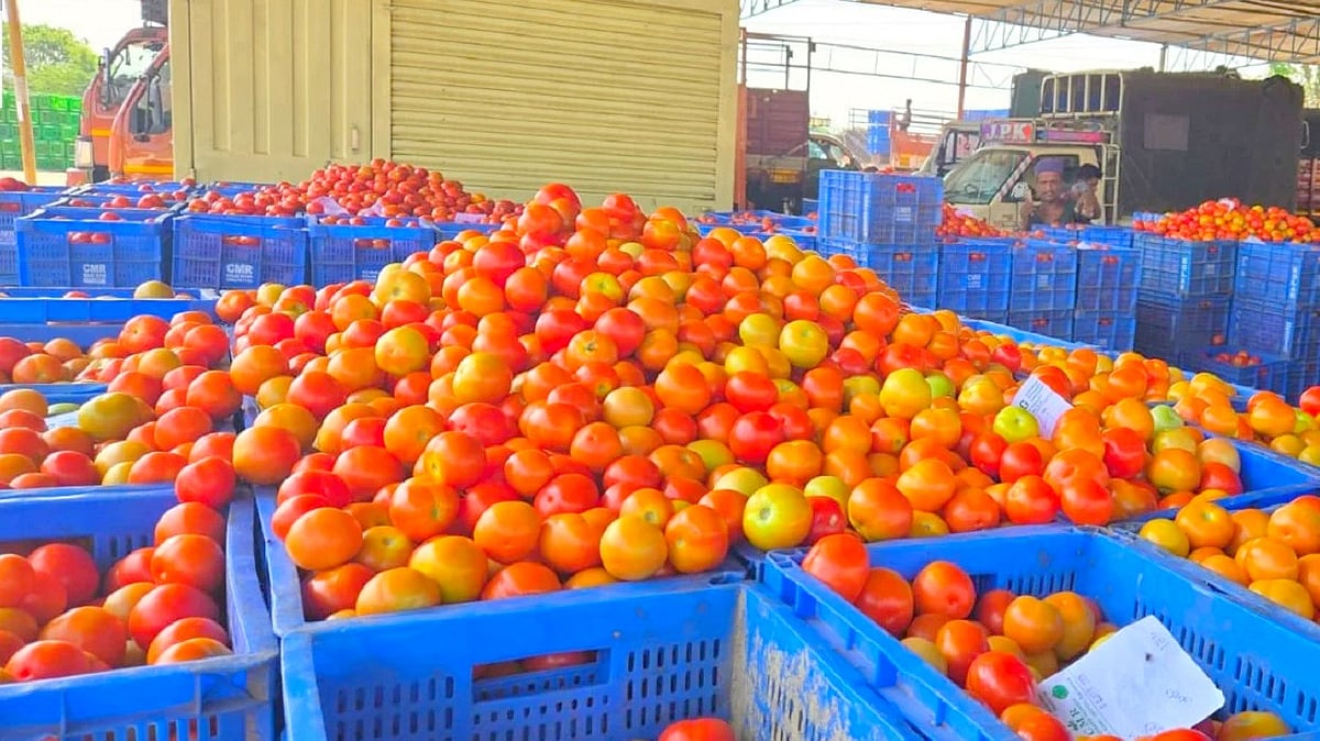 ತೀವ್ರ ದರ ಕುಸಿತ ಕಂಡಿದ್ದ ಟೊಮೆಟೊ ಬೆಲೆ ಗಗನಕ್ಕೆ ಜಿಗಿತ!