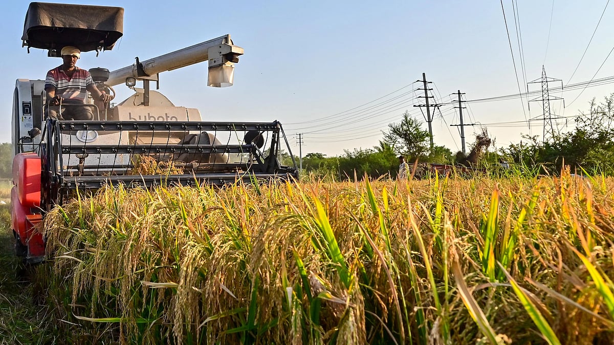 ಮುಂಗಾರು ಬೆಳೆ ಇಳುವರಿ: ಭತ್ತ ಹೆಚ್ಚಳ; ಬೇಳೆ, ಎಣ್ಣೆಕಾಳು ಕುಸಿತದ ನಿರೀಕ್ಷೆ