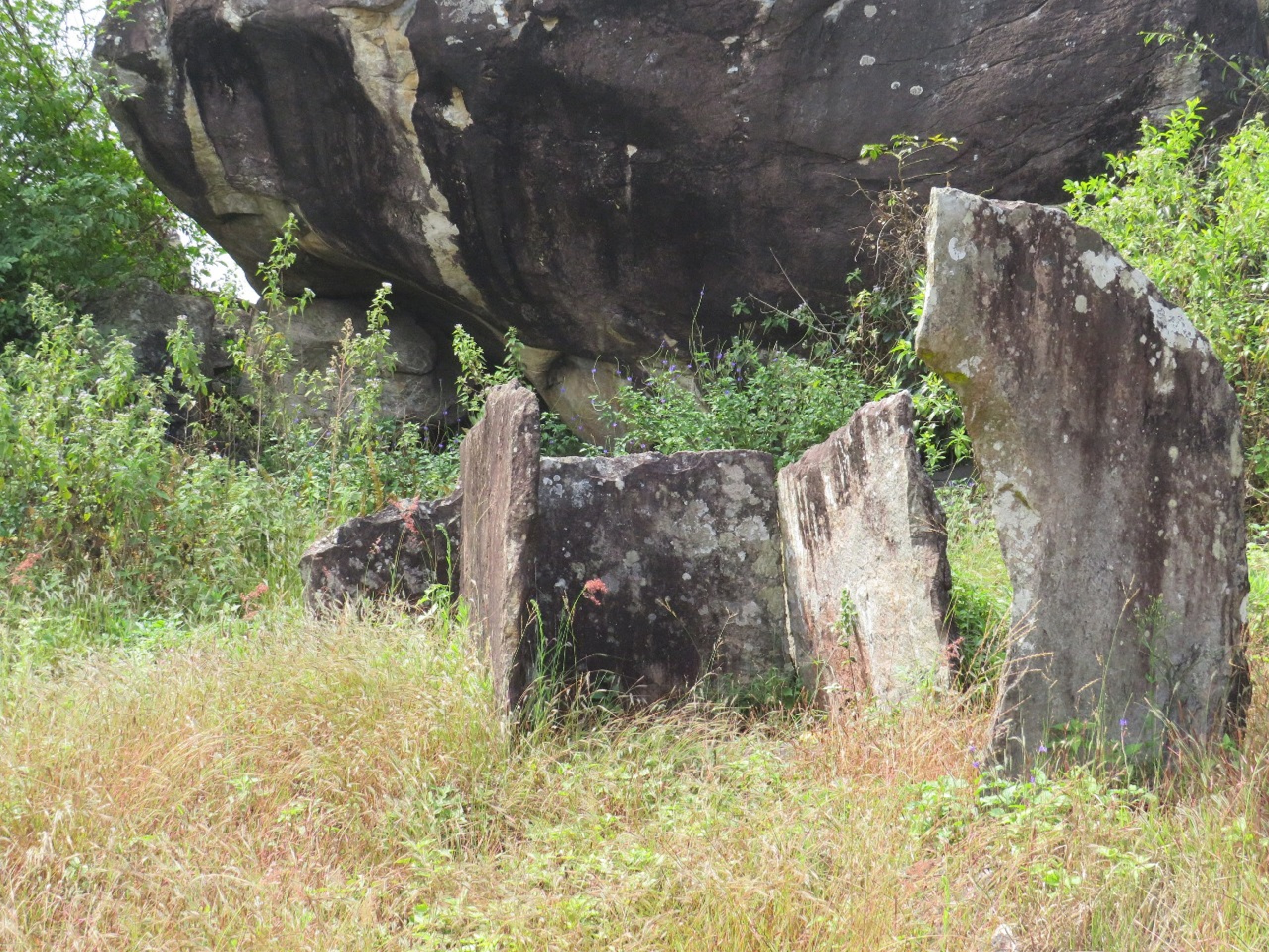 ಸೋಮವಾರಪೇಟೆ ತಾಲ್ಲೂಕಿನ ದೊಡ್ಡಮಳ್ತೆ ಗ್ರಾಮದಲ್ಲಿರುವ ಮೋರಿಬೆಟ್ಟ ಅಥವಾ ಪಾಂಡವರ ಬೆಟ್ಟದ ಮೇಲಿರುವ ಶಿಲಾ ಸಮಾಧಿಗಳು