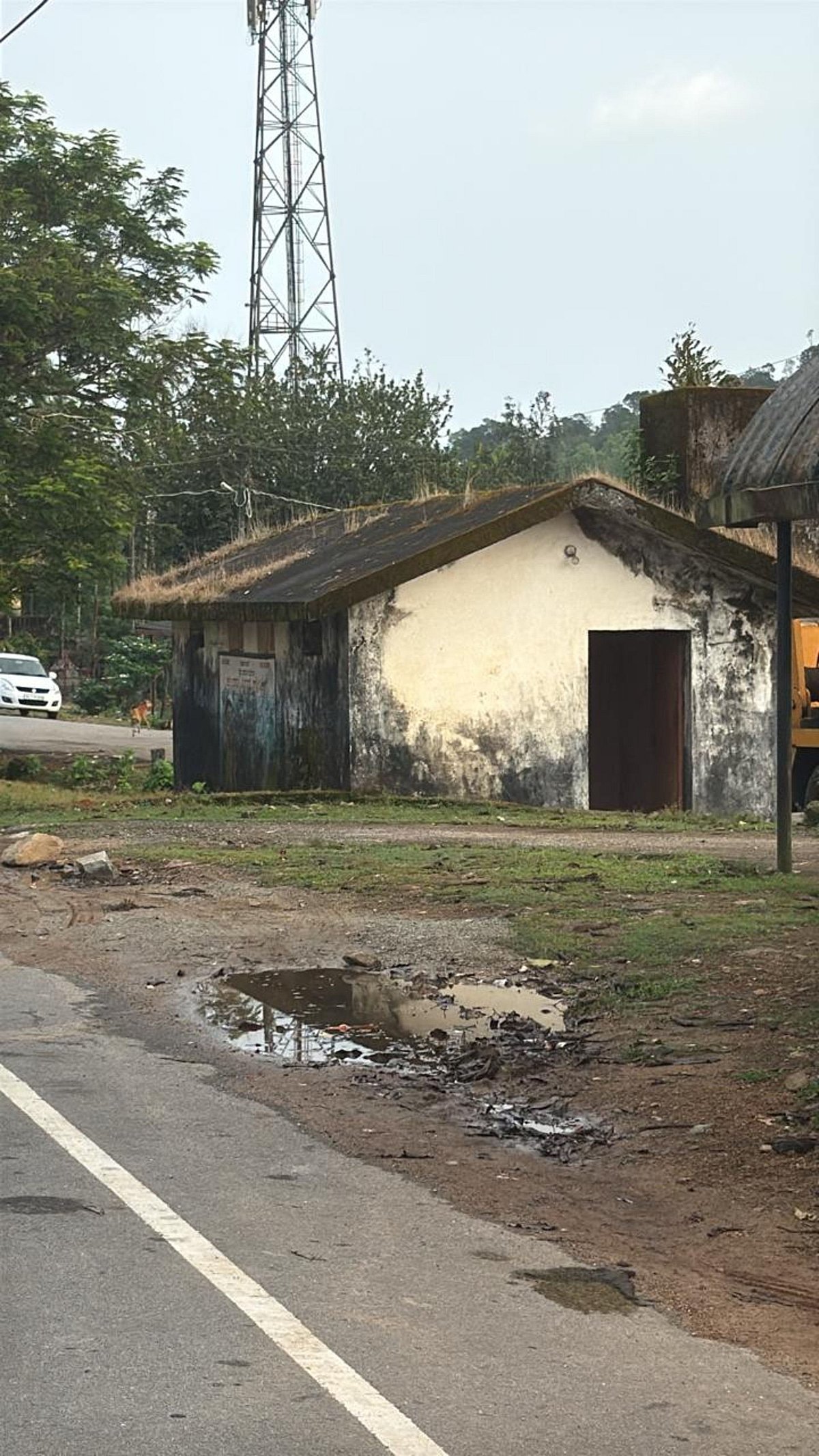 ಹೊಸನಗರ: ಗಬ್ಬೆದ್ದು ನಾರುತ್ತಿದ್ದ ಶೌಚಾಲಯವೀಗ ಸ್ವಚ್ಛ, ಸುಂದರ