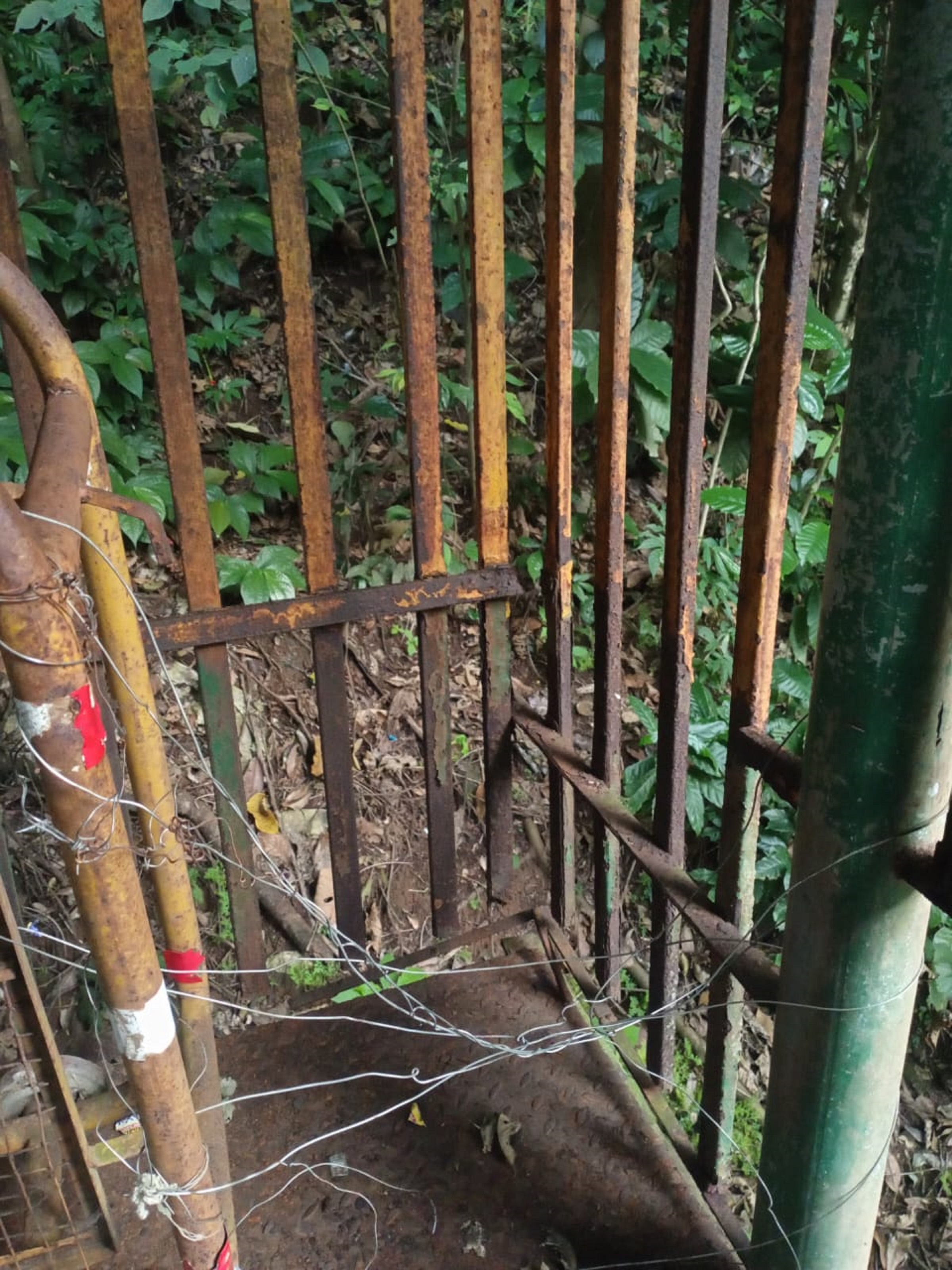 ಅಬ್ಬಿಫಾಲ್ಸ್‌ನ ವಾಚ್‌ಟವರ್‌ ಸ್ಥಿತಿ ಹೀಗಿದೆ