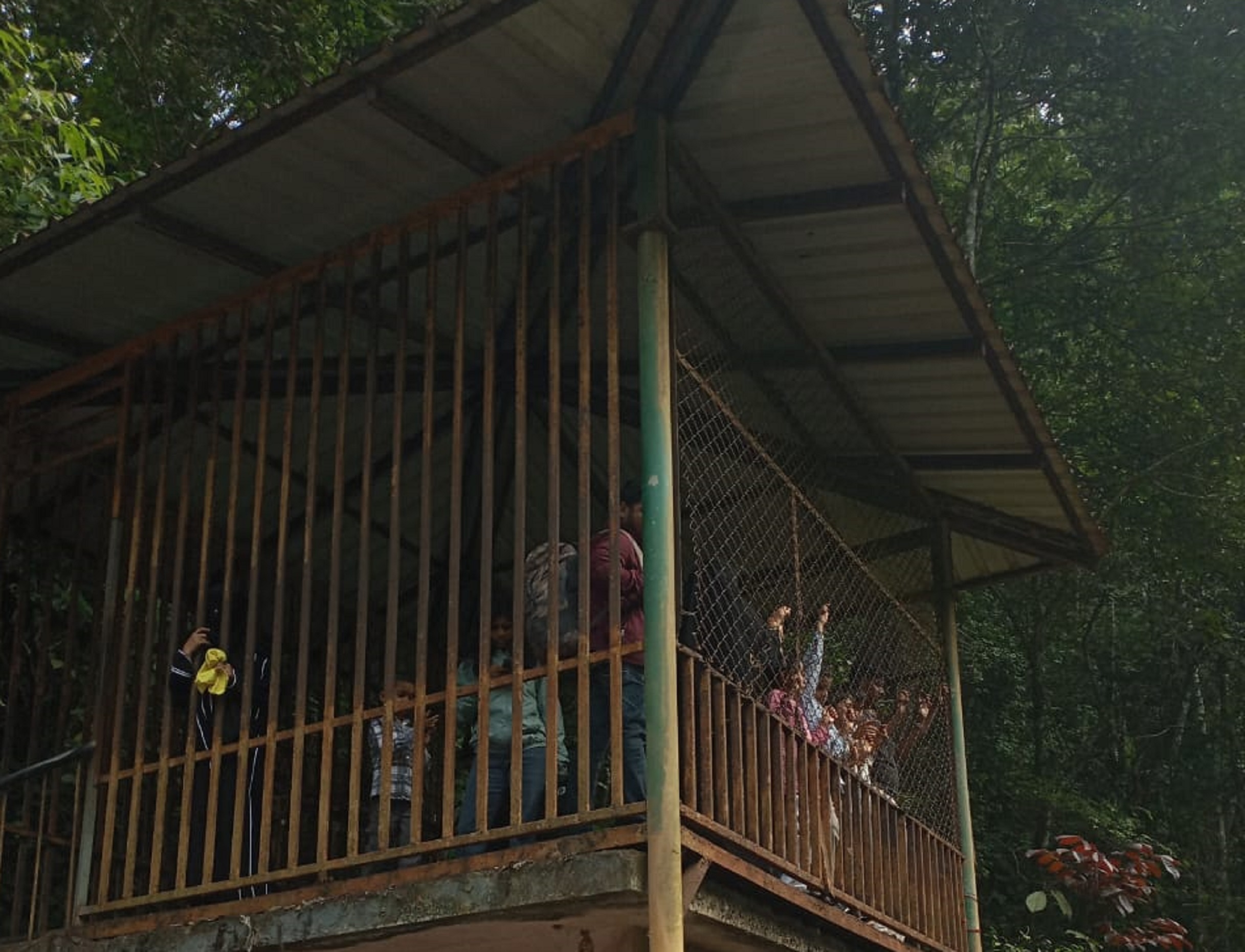 ಅಪಾಯಕ್ಕೆ ಆಹ್ವಾನ ನೀಡುವಂತಿದೆ ಅಬ್ಬಿಫಾಲ್ಸ್‌ನಲ್ಲಿರುವ ವಾಚ್‌ಟವರ್